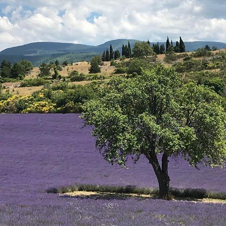 Oustau Du Ventoux Acomodação com café da manhã Bédoin Exterior foto