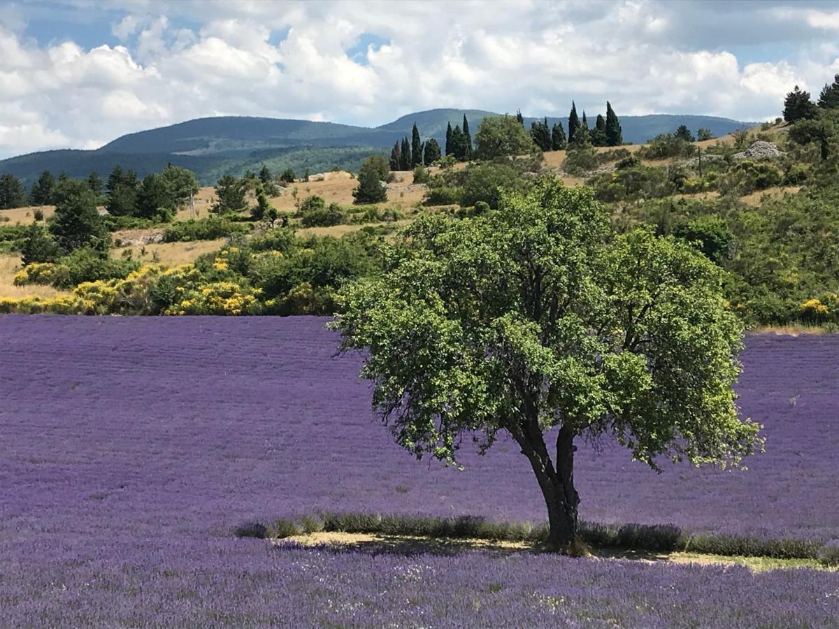 Oustau Du Ventoux Acomodação com café da manhã Bédoin Exterior foto